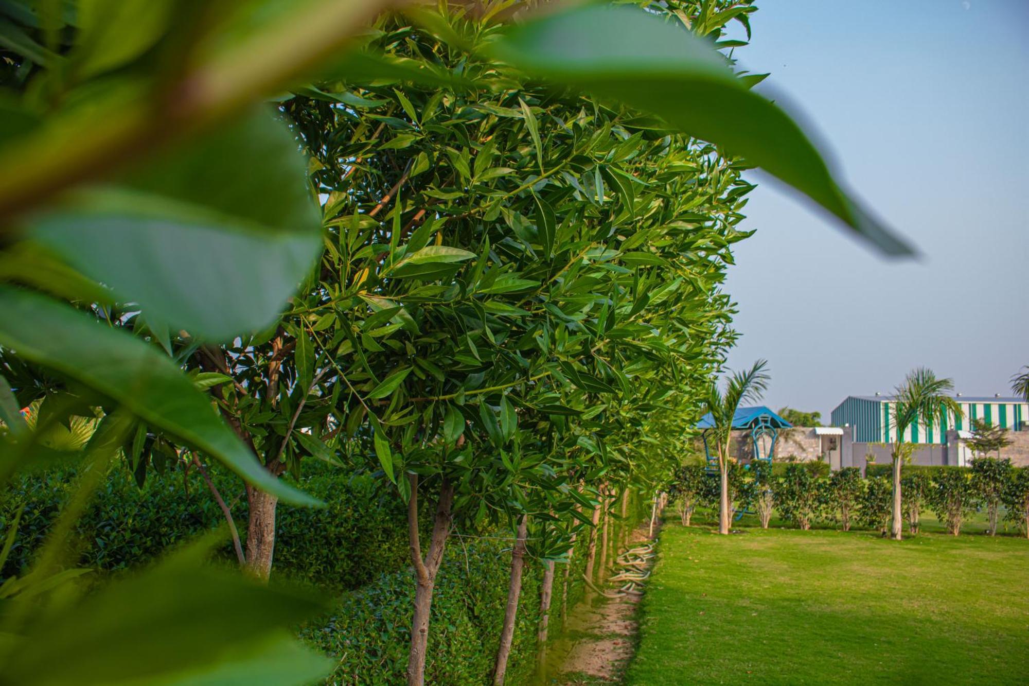 The Peace- A Luxury 2Bhk Private Pool Farm Villa Dzsaipur Kültér fotó